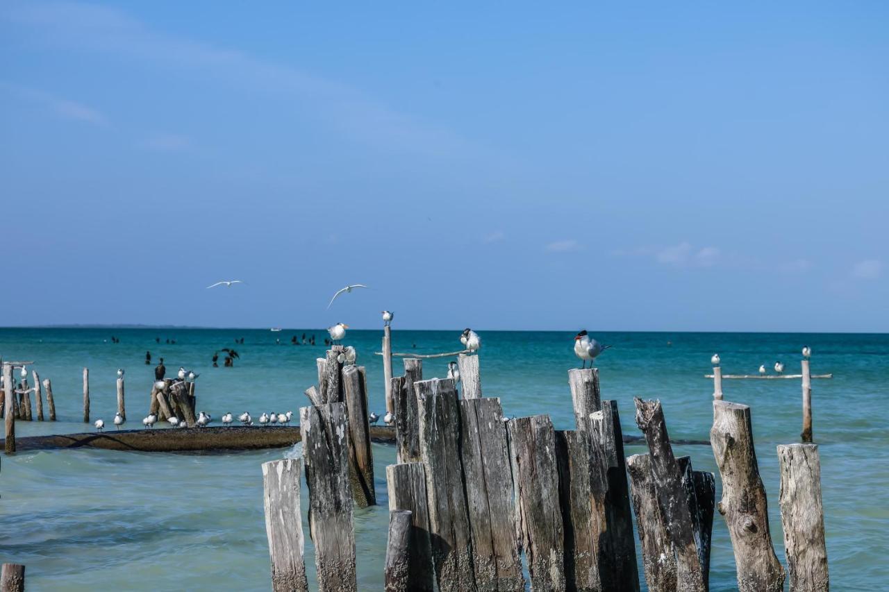 Hotel La Casa De Mia Holbox Exterior foto